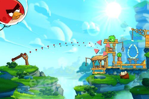 Angry birds: Under pigstruction