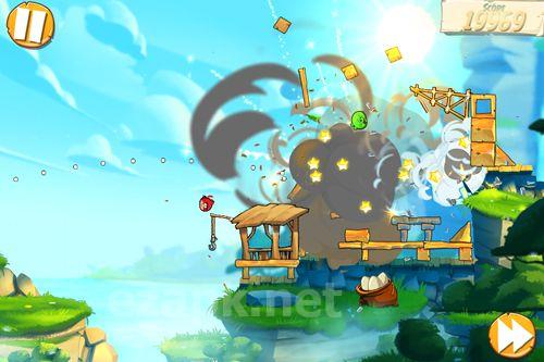 Angry birds: Under pigstruction