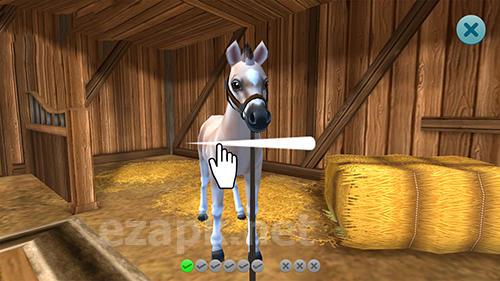 Star stable horses