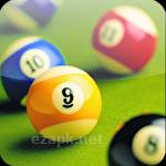 Pool billiards pro