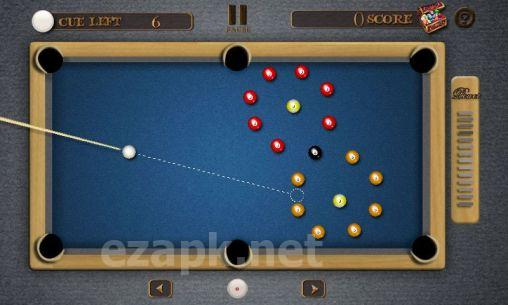 Pool billiards pro