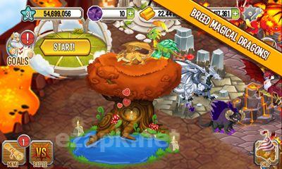 Dragon City