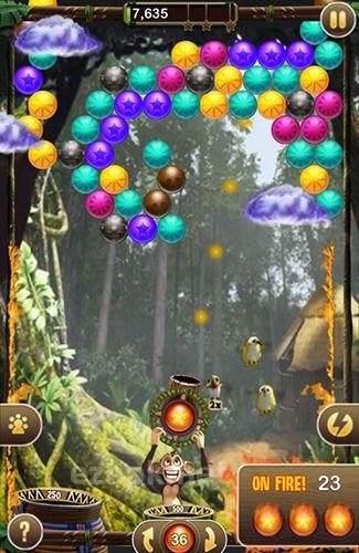 Bubble safari