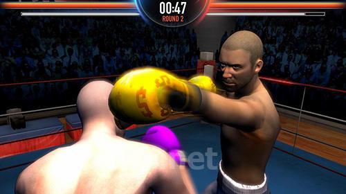 Boxing king: Star of boxing