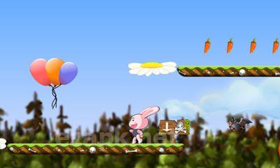 The Adventures of Zip