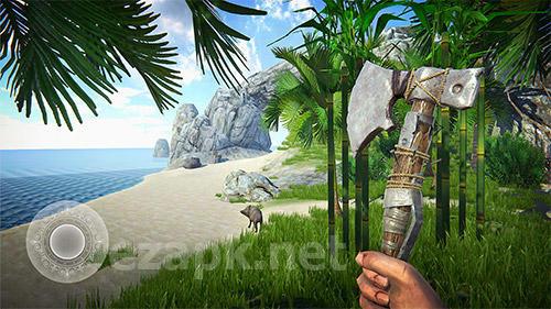 Last pirate: Island survival