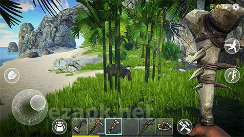 Last pirate: Island survival