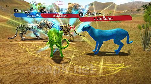 The cheetah: Online simulator
