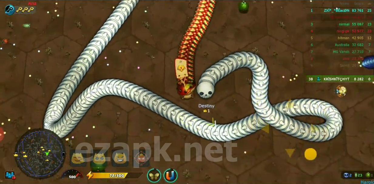 Little Big Snake