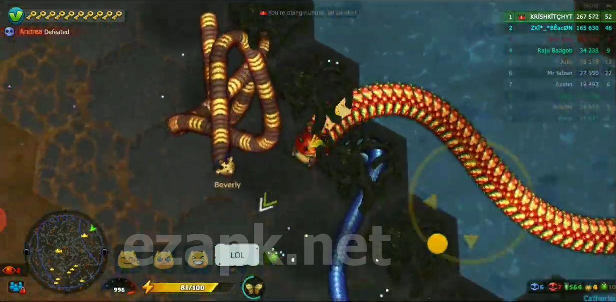 Little Big Snake
