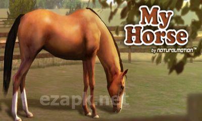 My Horse
