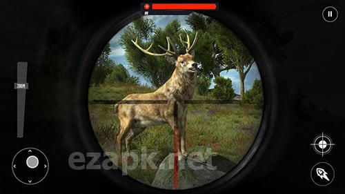 Wild animal jungle hunt: Forest sniper hunter