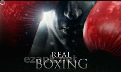 Real Boxing