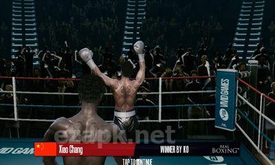 Real Boxing