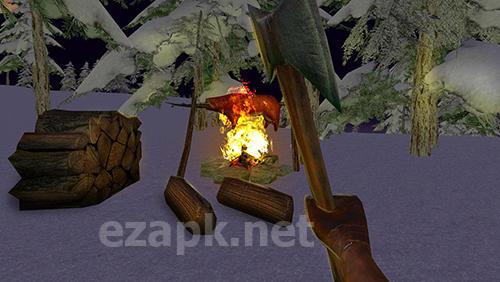 Vikings survival simulator 3D
