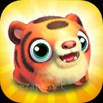 Wild things: Animal adventures