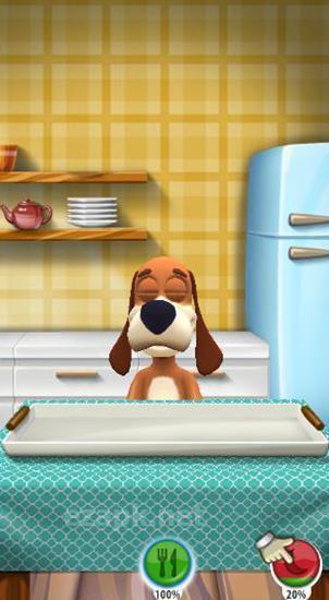 My talking beagle: Virtual pet