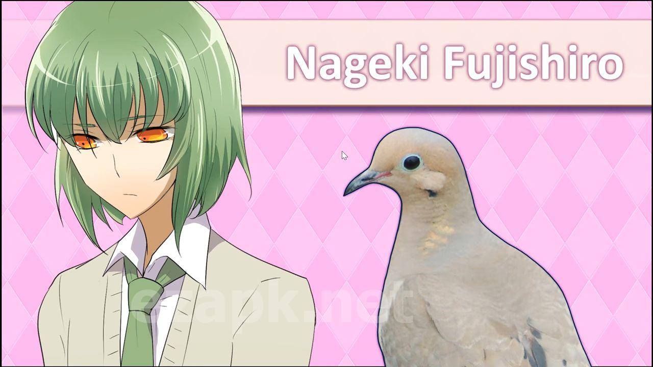 Hatoful Boyfriend