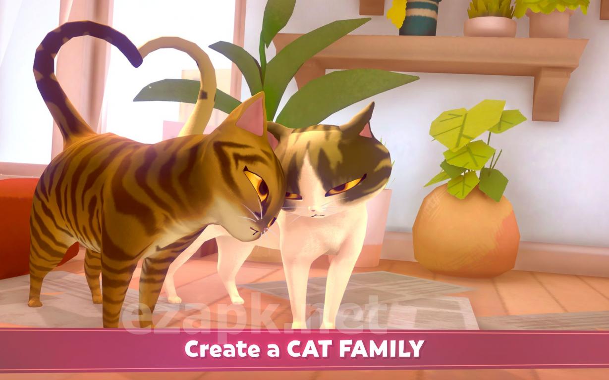 My Cat Club