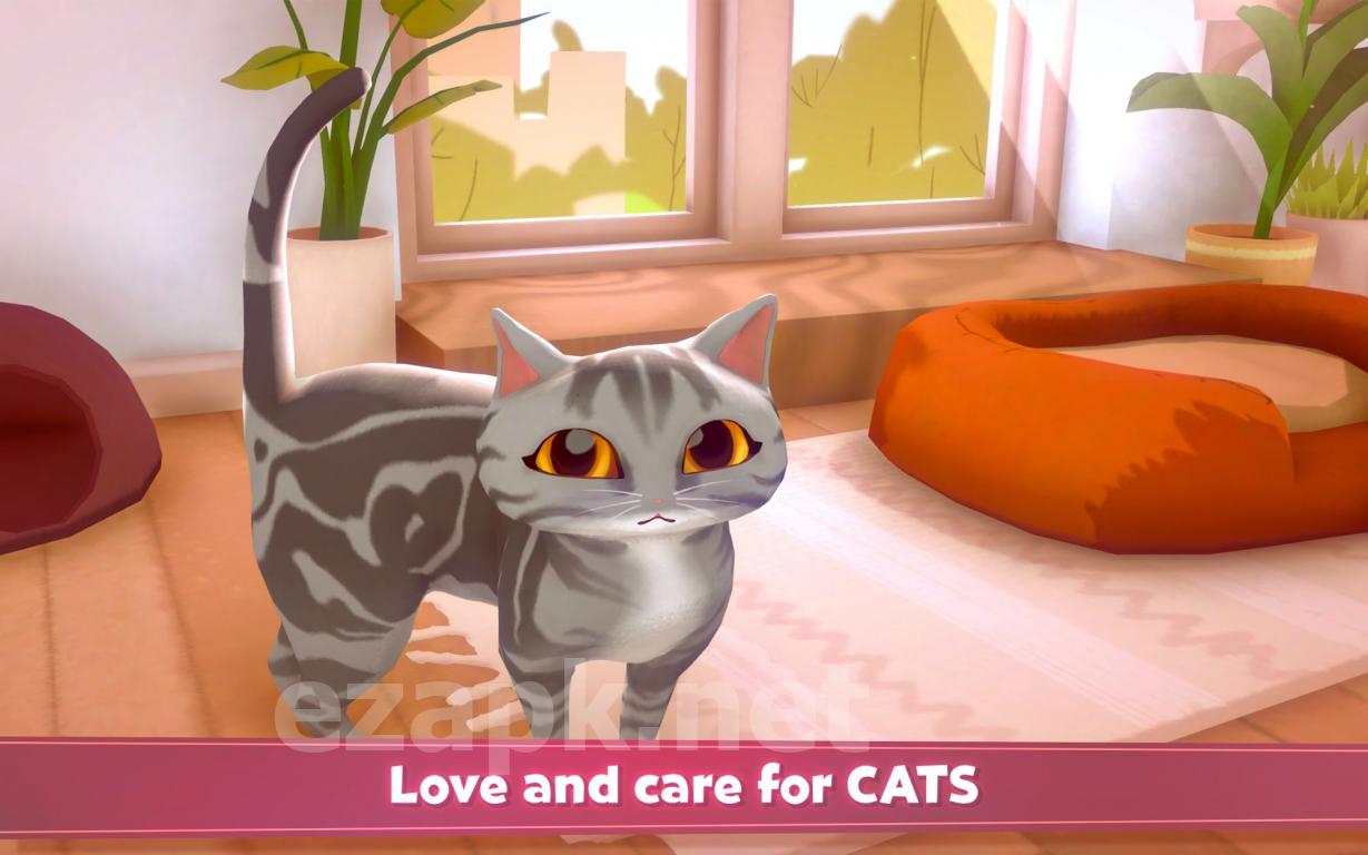 My Cat Club