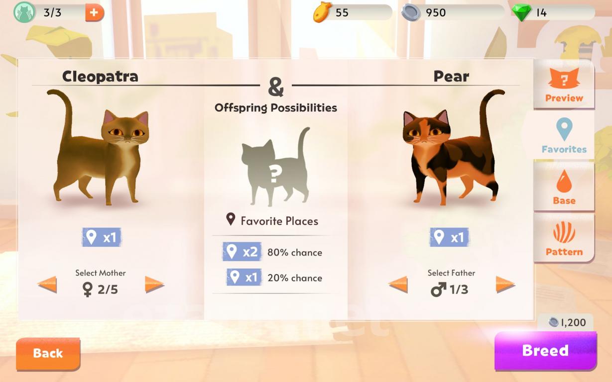 My Cat Club