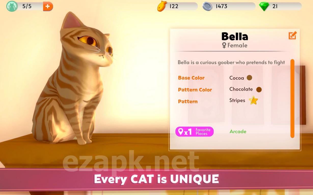 My Cat Club