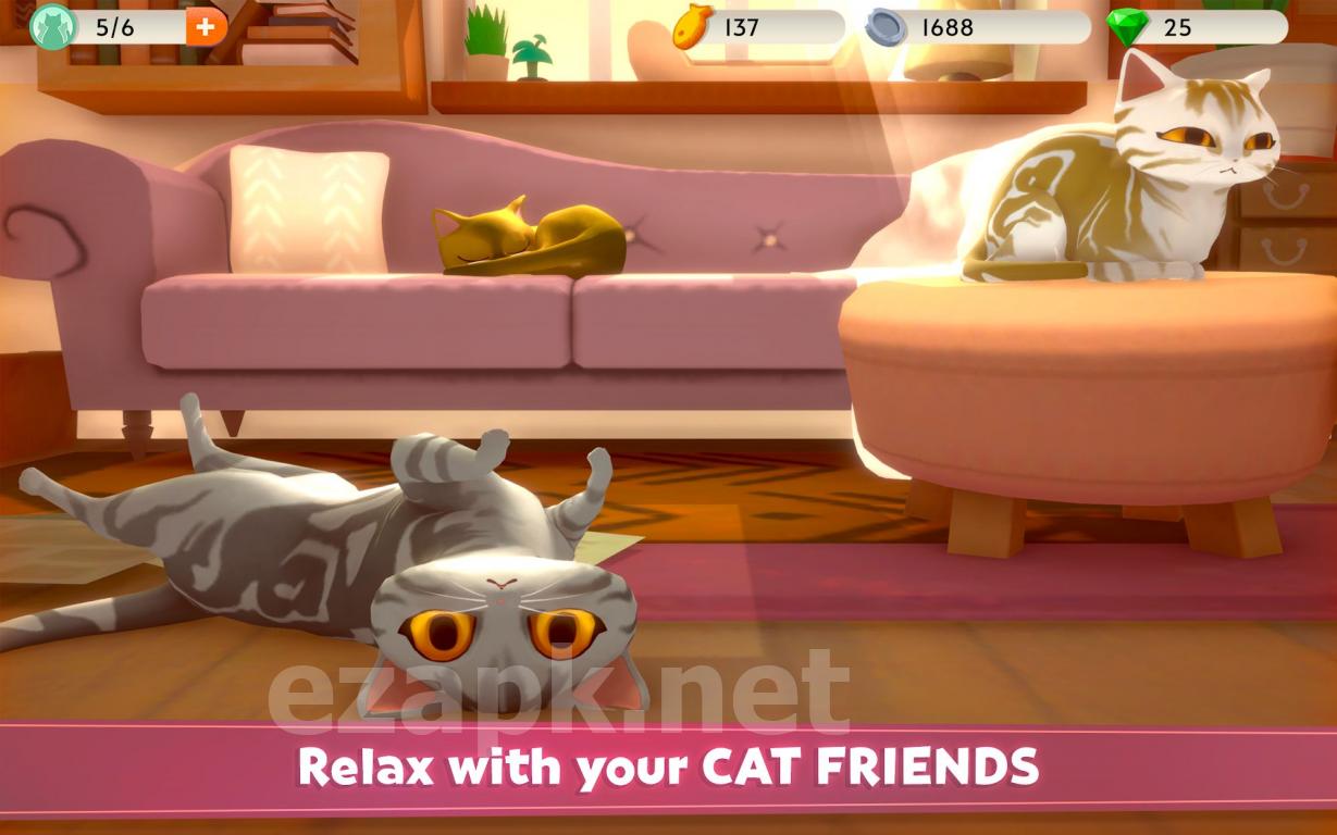 My Cat Club