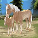 Horse paradise: My dream ranch