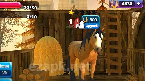 Horse paradise: My dream ranch