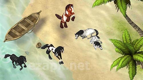 Horse paradise: My dream ranch