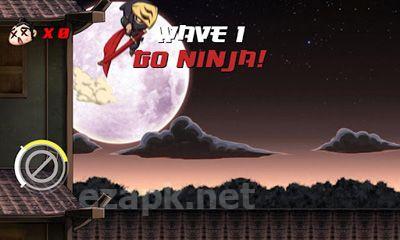 Go Ninja!