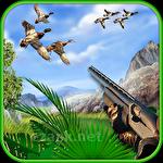 Duck hunting 3D