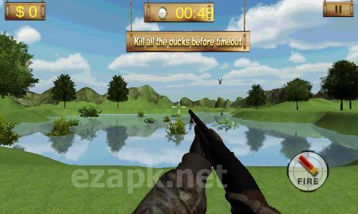 Duck hunting 3D