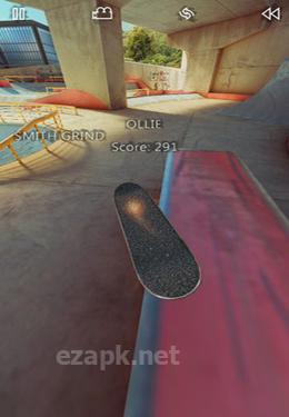 True Skate