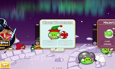 Angry Birds Seasons Winter Wonderham!