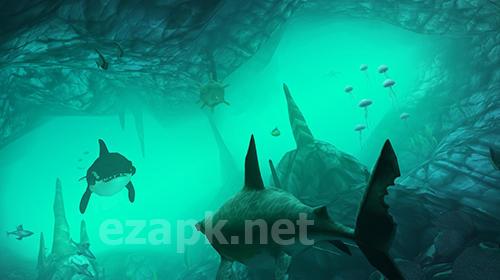 Hungry shark VR