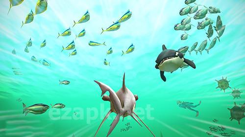 Hungry shark VR