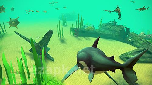Hungry shark VR