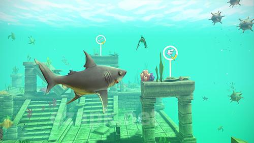 Hungry shark VR