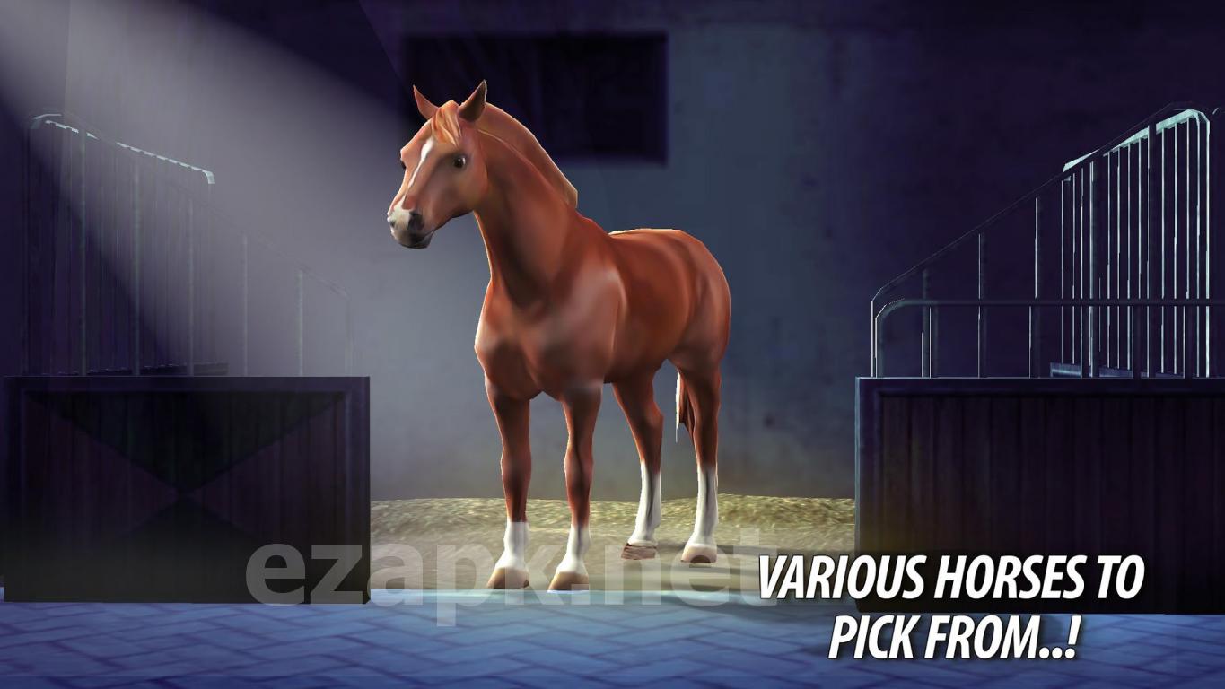 Rival Racing: Horse Contest