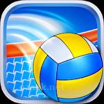 Volleyball champions 3D 2014