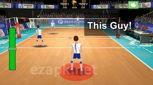 Volleyball champions 3D 2014