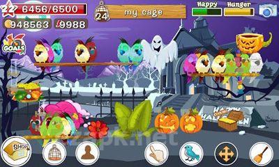 Bird Land