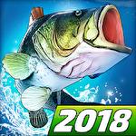 Fishing clash: Catching fish game. Hunting fish 3D