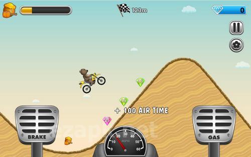 Bear race