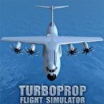 Turboprop flight simulator 3D