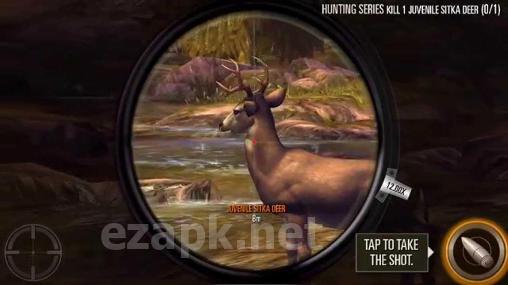 Deer hunter 2016