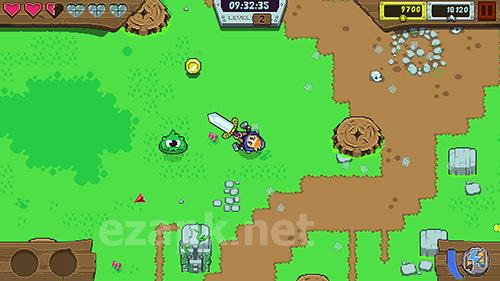 Dizzy knight