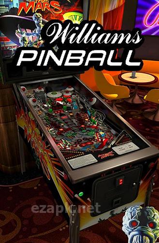 Williams pinball