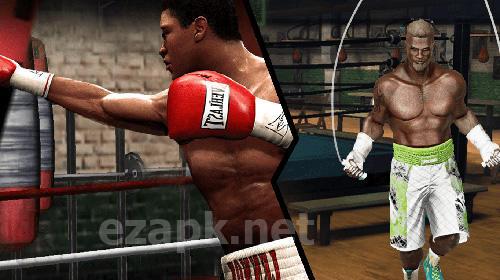 Boxing fight: Real fist